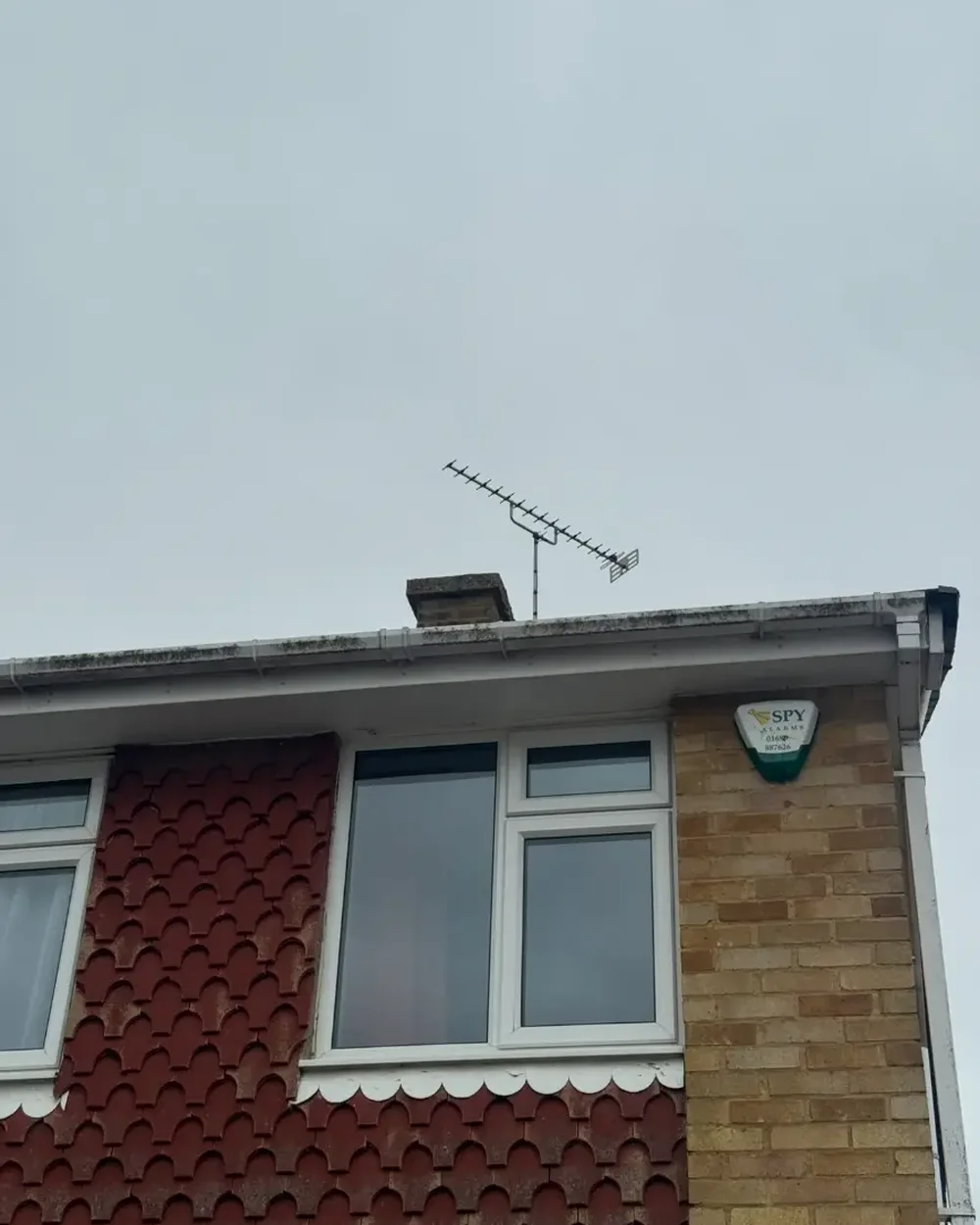 Gutters, fascias and soffits stained green and black before a full scrub down