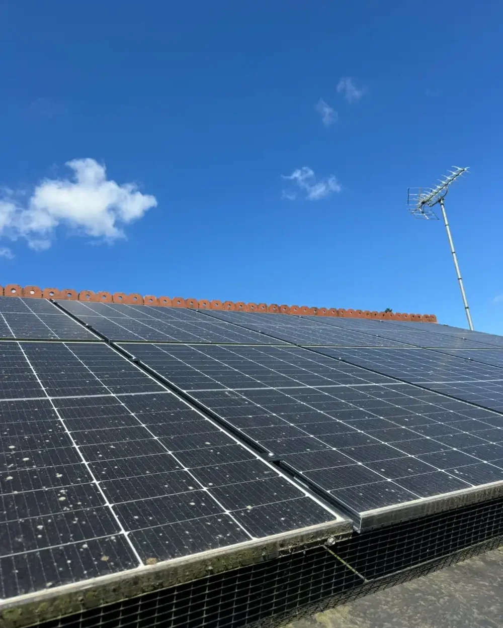 Roof-mounted solar panel array cleaned from ground level with a pole system